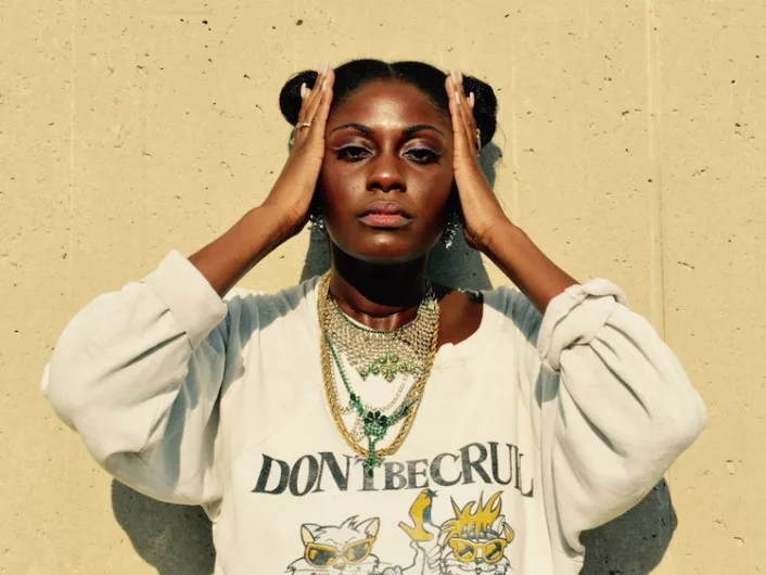 What is a blerd and what does blerd mean? 54 Sammus